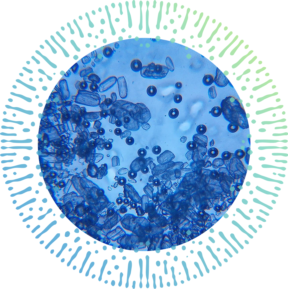 Microbiome Balance